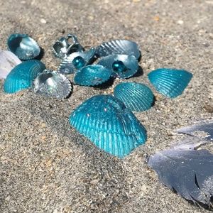 + CALLING ALL MERMAIDS +